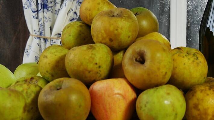 전통 음료 음식 과일 창문 유리 탁자 주택 건강 사람없음 목재 주스 낭만 수확 시골 긴급 알코올 신선 달콤 사과 상품 유기농 내추럴 노르망디 바이오 식초 핸드메이드 4K MP4 해외동영상 클립영상 나무 웰빙 가구 컨셉 농업 재료 재질 건물 맛 동영상 파일형식