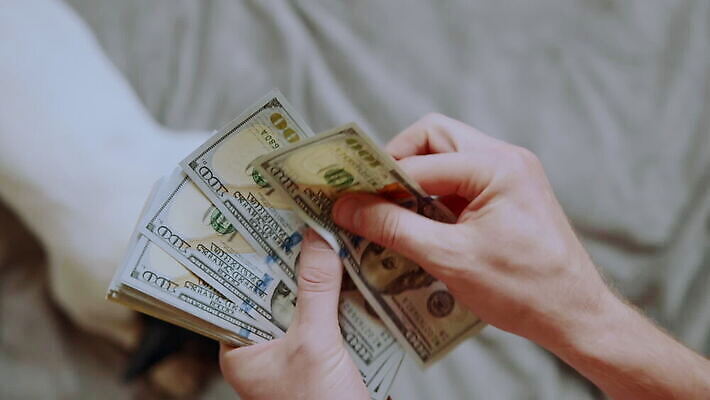 손 남자 백그라운드 컨셉 돈 비즈니스 성공 관리 사람 금융 경제 반려동물 사무실 달러 동전 저축 잡기 우승 비즈니스맨 계산 재산 닫기 개 은퇴 투자 이익 불독 프랑스어 대출 계좌 수입 예산 카운트 MOV 해외동영상 클립영상 동물 문자 포유류 모션 신체부위 최고 직장인 동영상 파일형식