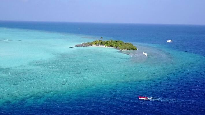 바다 여행 백그라운드 잎 사람없음 야외 모래사장 햇빛 평화 흰색 고급 항공촬영 MP4 해외동영상 클립영상 식물 뷰포인트 컬러 컨셉 태양 동영상 파일형식