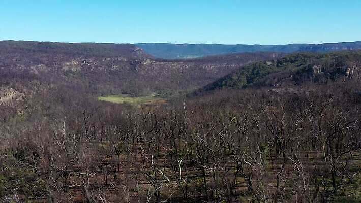 나무 구름 여행 자연 하늘 불 날씨 산 건조 안테나 풍경 사람없음 야외 초록색 여름 파란색 햇빛 갈색 환경 계곡 검은색 뜨거움 호주 숲 땅 언덕 암초 가뭄 동영상 드론 치유 4K MP4 해외동영상 클립영상 자연요소 식물 계절 컬러 통신 태양 오세아니아 생태계 파일형식