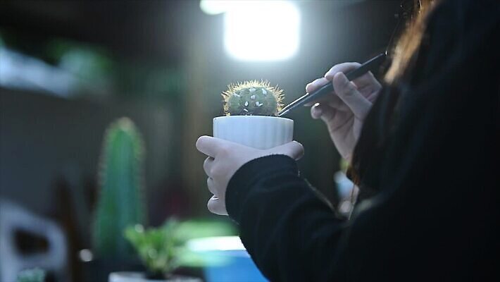 식물 손 커피 음료 꽃무늬 비즈니스 자연 탁자 선인장 주택 관리 한명 사람 취미 야외 컵 초록색 컴퓨터 사무실 우주 흙 카페 성장 잡기 시간 차 냄비 저녁 종업원 허브 원예 내추럴 돌봄 심기 원예사 그리너리 MOV 해외동영상 클립영상 직업 1 식기 꽃 컬러 가구 무늬 모션 건물 신체부위 전자제품 상점 솥 야간 생태계 동영상 파일형식 트랜드컬러
