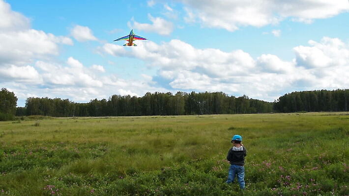 백인 라이프스타일 행복 어린이 컬러 무지개 한명 사람 소년 취미 야외 목재 컬러풀 마을 자유 시골 숲 연 무료 부주의 MOV 해외동영상 클립영상 자연요소 서양인 나무 1 남자 감정 컨셉 재료 생활 놀이용품 동영상 파일형식