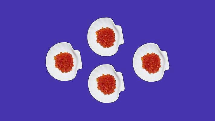 모양 식기 접시 디자인 음식 백그라운드 사람없음 보라색 질감 회전 애니메이션 캐비아 4K MOV 해외동영상 클립영상 컬러 식재료 동영상 파일형식