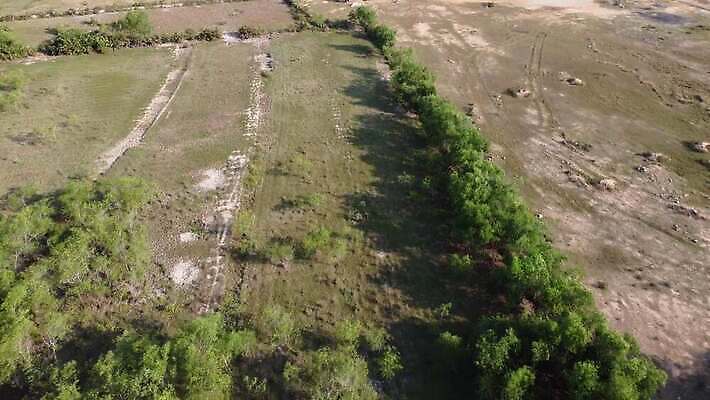 주간 식물 백그라운드 밭 농업 자연 건조 풍경 사람없음 야외 물 여름 갈색 환경 정원 사막 시골 습지 농부 땅 굽기 먼지 진흙 가뭄 내추럴 생태학 세련 4K MOV 해외동영상 클립영상 자연요소 직업 계절 교육 산업 컬러 날씨 구이 생태계 동영상 파일형식