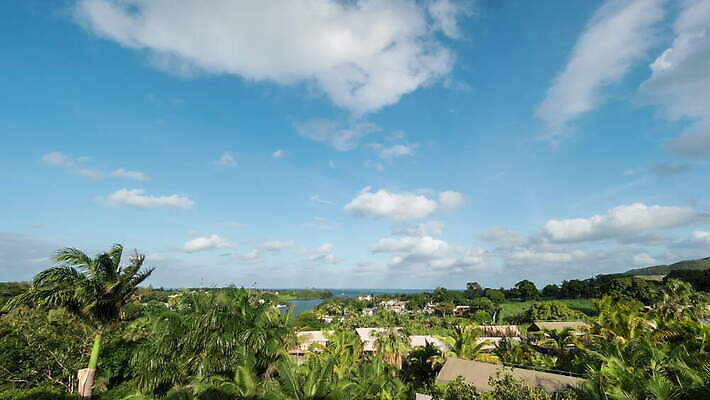 나무 섬 자연 하늘 바람 휴가 열대 주택 손바닥 사람없음 초록색 휴양지 장면 타운 모리셔스 4K 타임랩스 MOV 해외동영상 클립영상 자연요소 식물 손 컬러 날씨 촬영기법 건물 장소 도시 생태계 동영상 파일형식