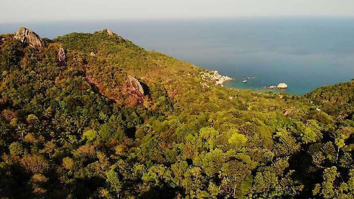주간 나무 섬 여행 백그라운드 태국 자연 산 안테나 파노라마 사람없음 야외 가로 초록색 평화 맑음 화목 침묵 트래킹 하이킹 성장 시골 거친 숲 큼 열대우림 언덕 부식 화산 지역 항공촬영 이국적 파라다이스 4K MP4 해외동영상 클립영상 자연요소 식물 아시아 뷰포인트 컬러 컨셉 통신 레저 날씨 촬영기법 소리 크기 생태계 동영상 파일형식