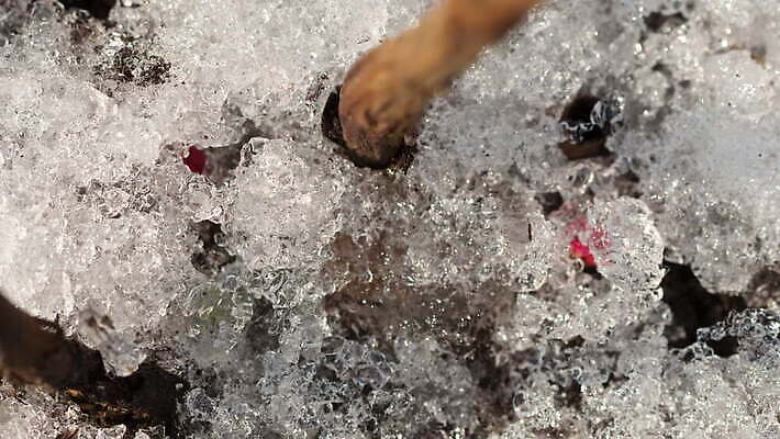 식물 계절 백그라운드 겨울 밭 자연 날씨 따뜻함 초원 사람없음 야외 초록색 물 빛 태양 새싹 냉동 얼음 봄 흰색 녹음 닫기 시원함 땅 유기농 서리 내추럴 작약 4K MOV 해외동영상 클립영상 자연요소 웰빙 꽃 컬러 농업 모션 기록 생태계 동영상 파일형식