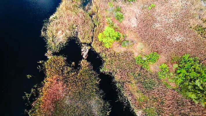 나무 계절 문화 섬 여행 모션 자동차 자연 안테나 사람없음 건물 초록색 물 파란색 강 반사 환경 일몰 봄 꿈 도시 화려 정상 강가 그림 승객 포트 스카이라인 내추럴 항공촬영 드론 랜드마크 우크라이나 그리너리 4K MOV 해외동영상 클립영상 자연요소 식물 건축물 유럽 육상교통 뷰포인트 컬러 컨셉 통신 노을 생태계 동영상 파일형식 트랜드컬러