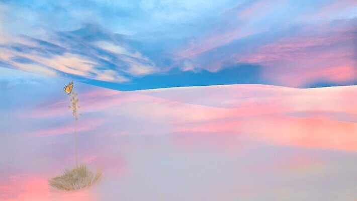 과학 나비 곤충 날개 오렌지 아프리카 상상 동화 추상 따뜻함 이야기 사람없음 견본 일출 일몰 새벽 거품 꿈 사막 덮개 뜨거움 신용카드 그래피티 큼 신비 모래언덕 캘리포니아 지구온난화 마법 애리조나 천국 사하라 여의주 우화 죄수 환상 MOV 해외동영상 클립영상 자연요소 동물 나라 컨셉 무늬 과일 금융 노을 미국 뚜껑 낙서 크기 언덕 그림 동영상 기후변화 파일형식