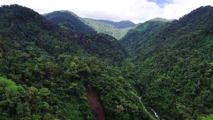 나무 공원 자연 안테나 국립공원 사람없음 야외 초록색 환경 계곡 침묵 놀람 다양 황무지 숲 열대우림 생태계 장면 동영상 항공촬영 드론 코스타리카 파라다이스 4K MOV 해외동영상 클립영상 식물 공공시설 감정 뷰포인트 컬러 다수 통신 표정 소리 중앙아메리카 파일형식