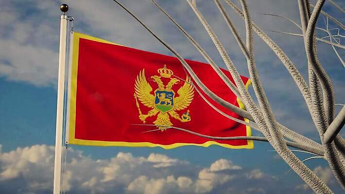 나무 배너 물결 파도 여행 백그라운드 하늘 아침 바람 사람없음 햇빛 태양 일출 일몰 흐름 자유 깃발 불기 민주주의 깃대 봉 애니메이션 재택근무 동영상 애국심 독립 몬테네그로 전국 정부 필승 4K MOV 해외동영상 클립영상 주간 자연요소 식물 바다 컨셉 비즈니스 모션 날씨 노을 우승 파일형식