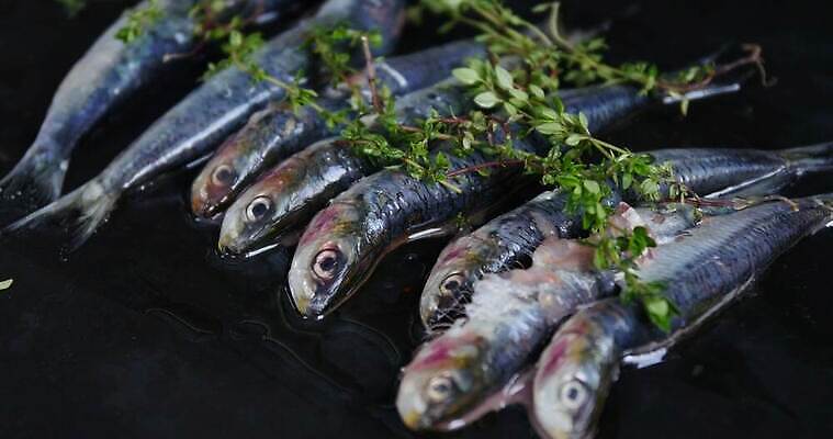 전통 접시 유럽 음식 여행 재료 불꽃 건강 어류 요리 사람없음 야외 가로 여름 식사 시골 신선 뜨거움 꼬치 스페인 맛 그릴 바비큐 굽기 레몬 해산물 점심식사 안달루시아 맛있는 4K MP4 해외동영상 클립영상 식기 계절 나라 컨셉 과일 주방용품 불 수중동물 구이 동영상 파일형식