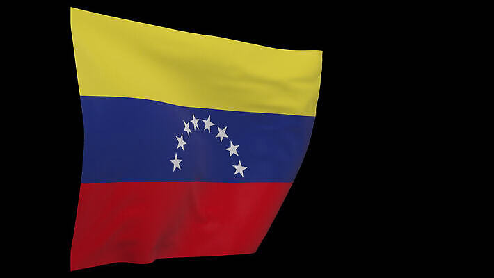 배너 물결 사람없음 깃발 애국심 베네수엘라 전국 4K MOV 해외동영상 클립영상 남아메리카 동영상 파일형식