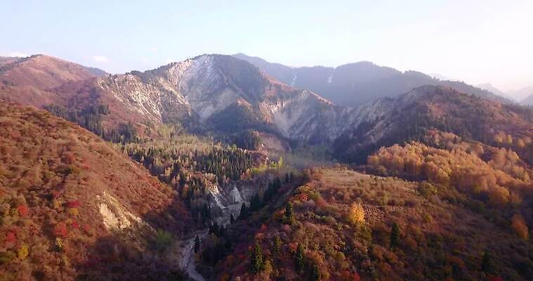 나무 계절 도로 백그라운드 오렌지 자연 산 안테나 경고 경사 사람없음 야외 목재 빨간색 초록색 물 강 컬러풀 노란색 환경 계곡 손상 시골 정상 숲 위험 땅 홍수 언덕 내추럴 항공촬영 드론 루트 재앙 지진 무너짐 4K MP4 해외동영상 클립영상 자연요소 식물 길 뷰포인트 컬러 컨셉 과일 재료 통신 교통시설 모션 자연재해 생태계 동영상 파일형식