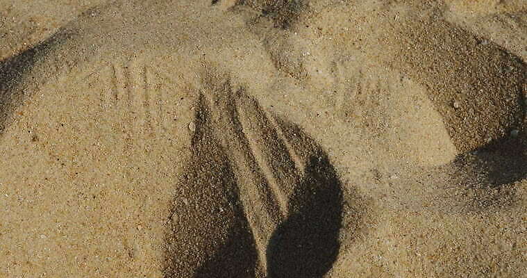 디자인 아시아 도로 모래 파도 여행 백그라운드 패턴 자연 추상 휴가 미술 사람없음 환경 맑음 희망 사막 시간 뜨거움 구멍 야간 저녁 사파리 언덕 질감 온도 동쪽 고립 방법 오해 진짜 케랄라주 4K MOV 해외동영상 클립영상 자연요소 감정 나라 길 바다 무늬 교통시설 날씨 문화예술 인도_나라 방향 생태계 동영상 파일형식