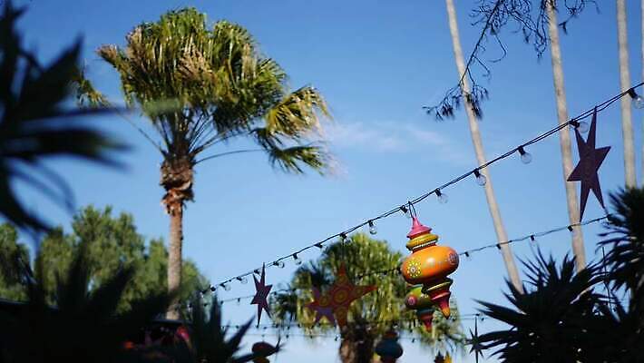 나무 전통 디자인 백그라운드 단풍 하늘 휴가 멕시코 사람없음 장식 여름 파란색 컬러풀 파티 축제 미국 화환 시골 축하 스페인 클래식 라틴아메리카 심볼 캘리포니아 히스패닉 산티아고 스페인어 엘리먼트 스타일 카피스페이스 4K MP4 해외동영상 클립영상 식물 계절 꽃 유럽 컬러 컨셉 잎 북아메리카 아메리카 이벤트 공백 동영상 파일형식