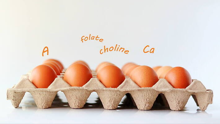 디자인 종이 음식 컨셉 다이어트 재료 포장 텍스트 부활절 쟁반 건강 사람없음 단어 갈색 계란 식사 신선 아침식사 상품 컨테이너 먹기 철 유기농 비타민 D 내추럴 판지 단백질 생식 영양소 칼슘 4K MOV 해외동영상 클립영상 문자 웰빙 알파벳 기념일 산업 컬러 모션 알 동영상 파일형식