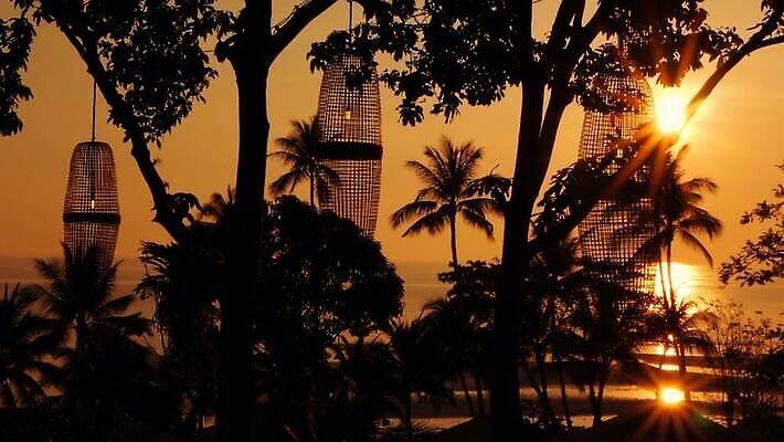 나무 실루엣 아시아 바다 컬러 섬 여행 백그라운드 오렌지 태국 자연 휴가 손바닥 사람없음 야외 가로 빨간색 물 컬러풀 햇빛 태양 노란색 일출 보라색 황혼 일몰 꿈 낭만 야간 저녁 휴양지 하와이 코코넛 석호 내추럴 바하마 파라다이스 포상금 수평선 MOV 해외동영상 클립영상 자연요소 식물 손 나라 컨셉 돈 과일 촬영기법 노을 미국 장소 생태계 동영상 파일형식