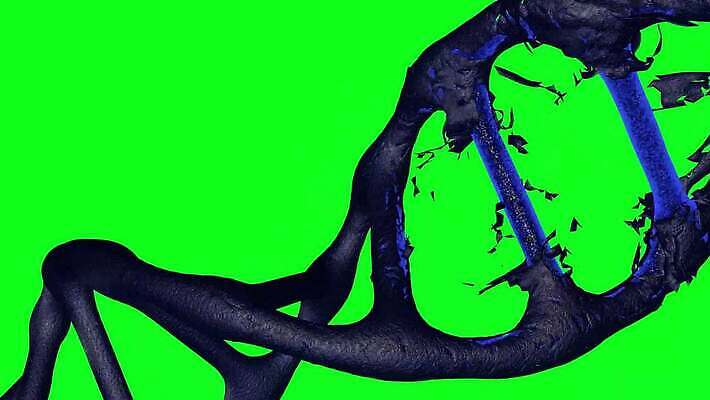 모델 디자인 과학 백그라운드 자연 추상 세포 건강 미술 사람 사람없음 그래픽 약 3D 진화 바이러스 DNA 생명공학 생물학 염색체 조제 더블 복제 신맛 유전 4K MOV 해외동영상 클립영상 교육 무늬 의학 문화예술 맛 소방 디지털합성 생태계 만들기 동영상 파일형식