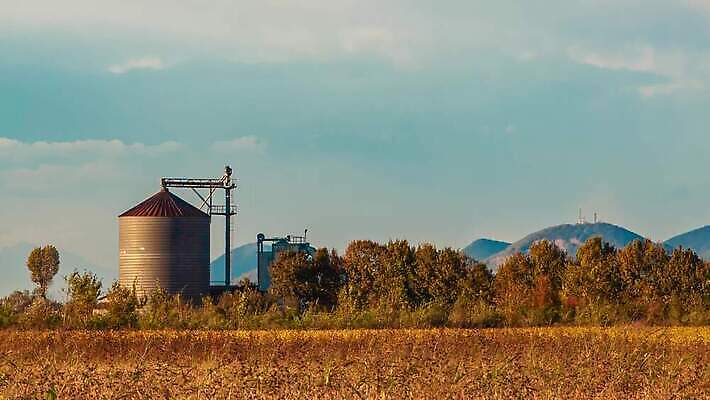 식물 산업 밭 농업 하늘 옥수수 사람없음 건물 초록색 농작물 농장 탑 상점 금속 봄 장비 시골 은색 낟알 컨테이너 엘리베이터 밀 창고 수납 밭일 사일로 4K MOV 해외동영상 클립영상 건축물 계절 컬러 재질 곡류 동영상 파일형식