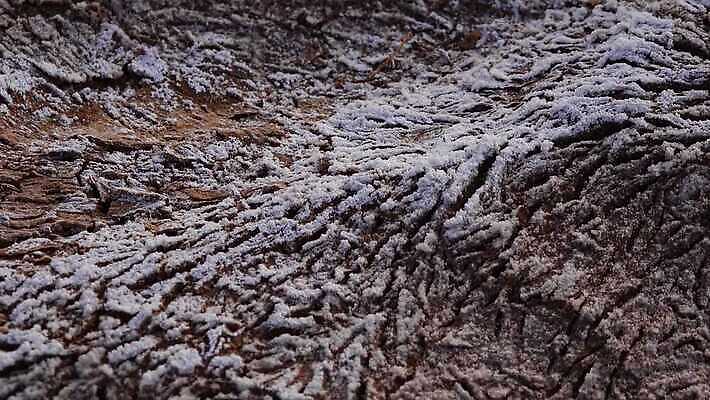 지구 백그라운드 오렌지 자연 표면 건조 사람없음 빨간색 갈색 환경 흙 사막 뜨거움 거친 황무지 균열 땅 부식 질감 먼지 점토 진흙 가뭄 다리찢기 내추럴 깨짐 땅바닥 생태학 탈수 4K MP4 해외동영상 클립영상 교육 컬러 컨셉 과일 모션 날씨 바닥 생태계 동영상 파일형식