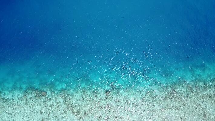 해외 바다 백그라운드 추상 휴가 어류 사람없음 파란색 모래사장 일출 습기 흰색 석호 드론 MP4 해외동영상 클립영상 컬러 무늬 노을 수중동물 동영상 파일형식