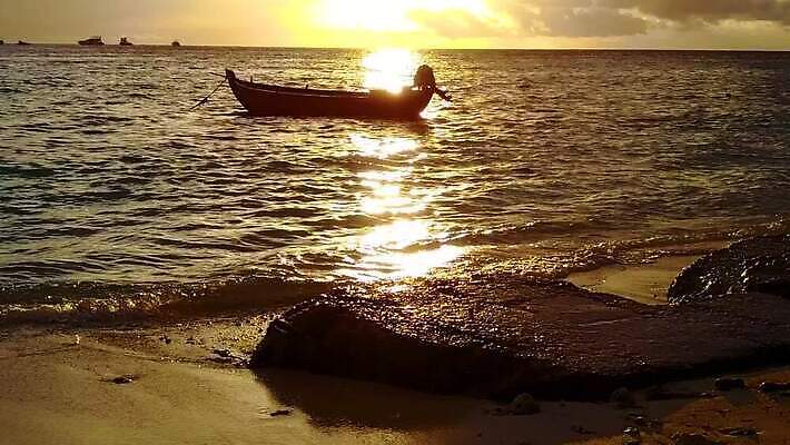 야생동물 모래 바다 여행 백그라운드 따뜻함 해변 사람없음 물 일출 흰색 암초 비어있는 MP4 해외동영상 클립영상 자연요소 동물 컬러 노을 동영상 파일형식