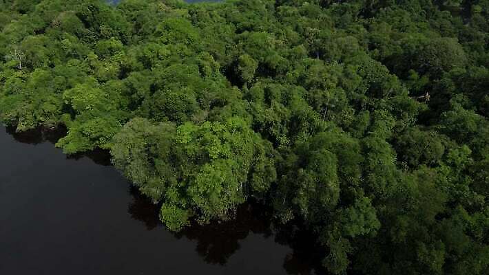 나무 호수 여행 자연 안테나 사람없음 초록색 물 강 환경 미국 개울 보호 습지 정상 숲 열대우림 에콰도르 대야 브라질 최초 남쪽 항공촬영 드론 랜드마크 볼리비아 아마존 이국적 페루 그리너리 브라질사람 4K MOV 해외동영상 클립영상 자연요소 식물 뷰포인트 컬러 컨셉 북아메리카 통신 아메리카 남아메리카 방향 생태계 동영상 파일형식 트랜드컬러