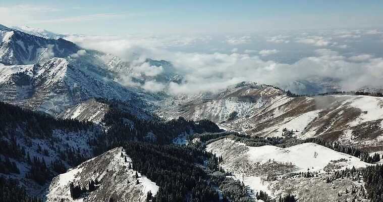 나무 계절 여행 크리스마스 겨울 자연 하늘 동화 휴가 산 안테나 파노라마 경사 사람없음 야외 파란색 평화 계곡 냉동 하이킹 추위 흰색 소나무 정상 숲 언덕 산등성이 서리 장면 항공촬영 드론 절정 카자흐스탄 눈내림 가문비나무 4K 알마티 MP4 해외동영상 클립영상 식물 기념일 아시아 뷰포인트 컬러 컨셉 통신 레저 눈_날씨 촬영기법 생태계 동영상 파일형식