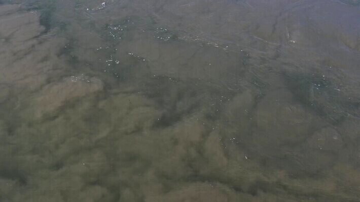 산업 바다 컨셉 사람없음 강 갈색 흐름 소용돌이 회오리 개울 수면 환경오염 오염 위생 위험 홍수 사회이슈 속도 생태계 회전 운하 먼지 태평양 진흙 문제 낭비 배수구 항공촬영 생태학 위기 재앙 채널 폐수 하수 현재 4K MP4 해외동영상 클립영상 교육 뷰포인트 컬러 물 자연재해 동영상 파일형식