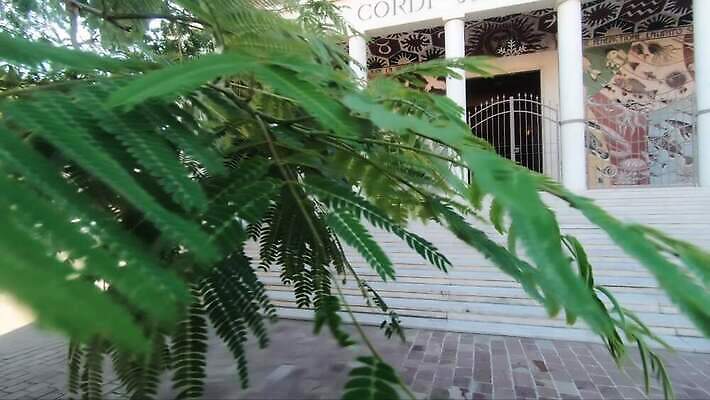 나무 외관 유럽 여행 건축양식 창문 자연 하늘 주택 사람없음 야외 건물 물 파란색 교회 여행객 마을 탑 이탈리아 궁전 골동품 도시 중세 역사 타운 기념물 천연기념물 랜드마크 세기 옛날 4K MP4 해외동영상 클립영상 자연요소 식물 건축물 건축 나라 컬러 고건축 종교건축 모션 사람 생태계 동영상 파일형식