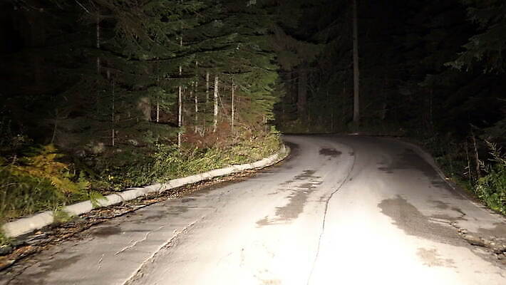 나무 실루엣 도로 길 선 여행 백그라운드 컨셉 무늬 교통시설 모션 자연 날씨 거리 사람없음 어둠 새벽 할로윈 운전 시골 소나무 고속도로 스페인 구출 야간 숲 땅 가득함 속도 장면 분열 스카이라인 남쪽 빛망울 넘어짐 되감기 많음 수평선 접근 4K MOV 해외동영상 클립영상 자연요소 식물 유럽 교통 촬영기법 빛 도움 방향 시설 생태계 동영상 파일형식