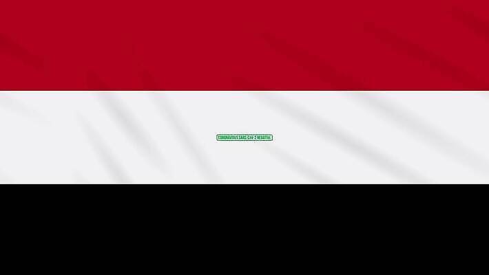 과학 백그라운드 건강 사람없음 치료 빨간색 초록색 약 자유 흰색 깃발 고리 바이러스 질병 디지털합성 예방 생물학 감염 미생물 애니메이션 우표 그런지 돌리기 백신 부정적 예멘 전염병 증상 치유 항생제 사스 코로나바이러스 4K MOV 해외동영상 클립영상 교육 감정 컬러 컨셉 의학 모션 생물 동영상 파일형식