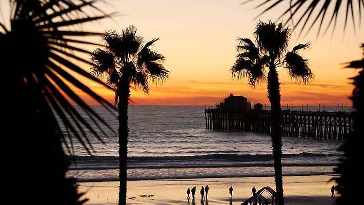 실루엣 바다 상징 휴가 경사 사람없음 야자수 항구 검은색 미국 어둠 침묵 황혼 일몰 새벽 분위기 저녁 캘리포니아 주말 로스앤젤레스 4K 오션사이드 산타모니카 MP4 해외동영상 클립영상 자연요소 나무 컬러 컨셉 북아메리카 교통시설 촬영기법 노을 소리 야간 동영상 파일형식