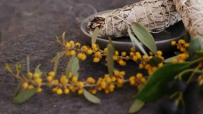 잎 요가 휴식 여러명 사람없음 치료 장식 미국 고요 약재 흰색 의식 분위기 약초 샌들 신비 인도인 청소 향신료 보따리 향기 아로마 캘리포니아 아로마테라피 연소 세이지 예언자 자연요법 정물화 핸드메이드 4K MP4 해외동영상 클립영상 외국인 식물 웰빙 컬러 다수 신발 컨셉 북아메리카 의학 사람 동양인 약 풀_식물 그림 냄새 테라피 동영상 향미료 파일형식