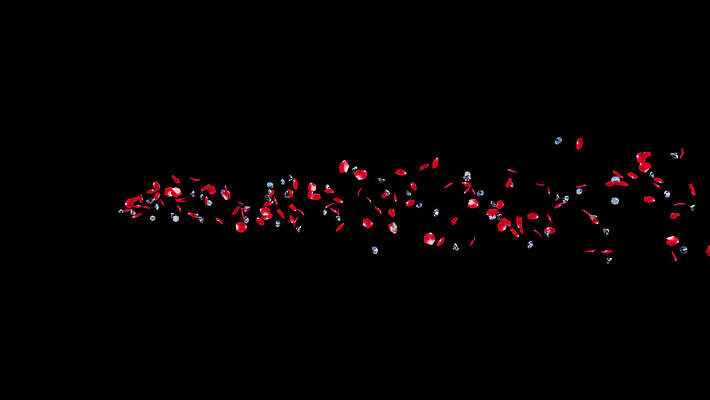 기념일 꽃잎 꽃 결혼 백그라운드 컨셉 결혼식 휴가 기념 발렌타인데이 사랑 사람없음 빨간색 빛 뷰티 장미 유행 3D 하트 축하 신선 고급 크리스탈 보석 만들기 다이아몬드 약혼 내추럴 고립 화면전환 MOV 해외동영상 클립영상 모양 식물 감정 컬러 모션 데이이벤트 이벤트 광석 디지털합성 약속 동영상 파일형식