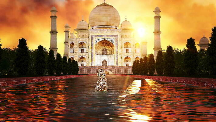 나무 전통 실루엣 아시아 종교 문화 여행 건축양식 휴가 사람없음 야외 관광지 강 도시풍경 반사 탑 황혼 궁전 무덤 영혼 역사 도착 모스크 천연기념물 명승지 사당 아그라 옛날 MOV 해외동영상 클립영상 식물 건축물 건축 나라 고건축 촬영기법 풍경 일몰 도시 이슬람교 동영상 파일형식