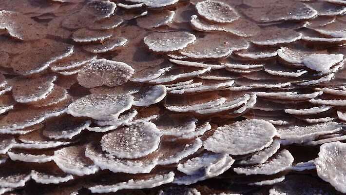 호수 바다 백그라운드 자연 사람없음 야외 물 흰색 약초 크리스탈 휴양지 진흙 결정체 지구온난화 내추럴 우크라이나 짠맛 오데사 4K MP4 해외동영상 클립영상 자연요소 유럽 컬러 장소 풀_식물 맛 광석 생태계 동영상 기후변화 파일형식