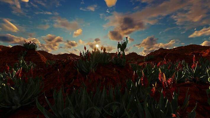 나무 식물 꽃 화분 음료 백그라운드 잎 밭 농업 오렌지 과일 자연 하늘 산 선인장 실내 취미 사람없음 야외 초록색 파란색 농장 환경 정원 미니어처 사막 성장 알코올 가시 묘사 유기농 뿌리 내추럴 테킬라 다육식물 마다가스카르 스리랑카 이국적 4K MP4 해외동영상 클립영상 웰빙 산업 아시아 컬러 주류 내부 모형 생태계 동영상 파일형식