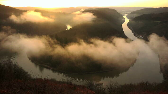 실루엣 곡선 자연 독일 사람없음 야외 강 햇빛 평화 안개 보트 광 4K 락다운 MOV 해외동영상 클립영상 유럽 선 컨셉 배_교통 날씨 촬영기법 태양 생태계 동영상 파일형식