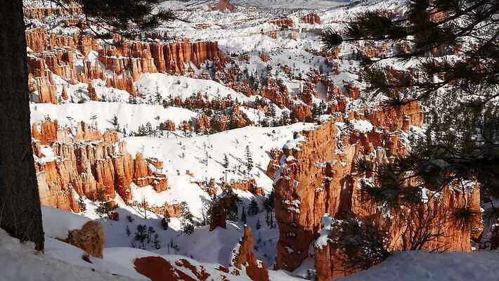 나무 겨울 오렌지 자연 파노라마 국립공원 사람없음 빨간색 갈색 미국 트래킹 하이킹 소나무 황무지 인도인 사암 침엽수 진홍색 애리조나 첨탑 전나무 랜드마크 벌거벗은 웅장함 원형극장 특별함 수평선 4K MP4 해외동영상 클립영상 외국인 식물 계절 공원 컬러 컨셉 북아메리카 과일 레저 촬영기법 동양인 탑 돌_바위 극장 생태계 동영상 파일형식