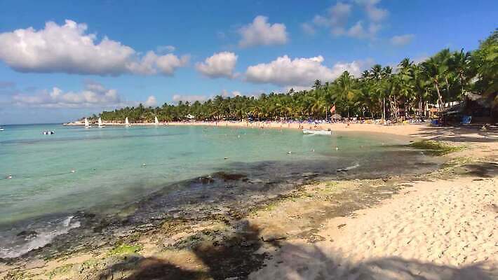 모래 바다 컬러 섬 여행 자연 하늘 휴가 휴식 등대 손바닥 사람없음 태양 평화 추위 만 뜨거움 보트 크루즈 속도 승진 카리브해 내추럴 도미니카공화국 파라다이스 4K MP4 해외동영상 클립영상 자연요소 손 컨셉 배_교통 남아메리카 생태계 동영상 파일형식