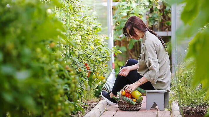 식물 백인 라이프스타일 여자 행복 채소 과일 한명 사람 야외 초록색 농장 바구니 정원 수확 신선 유기농 MOV 해외동영상 클립영상 서양인 1 웰빙 감정 컬러 농업 생활 동영상 파일형식