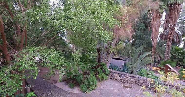 나무 식물 전통 공원 여행 건축양식 자연 하늘 산 미술 사람없음 건물 산책 도시 예수 역사 황금 중앙 파편 땅 충돌 올리브 마리아 타운 동쪽 러시아인 순례 예루살렘 옛날 이스라엘 팔레스타인 1인칭시점 4K MP4 해외동영상 클립영상 서양인 건축물 시선 공공시설 열매 건축 종교 중동 문화예술 휴식 신_종교 방향 생태계 동영상 서아시아 파일형식