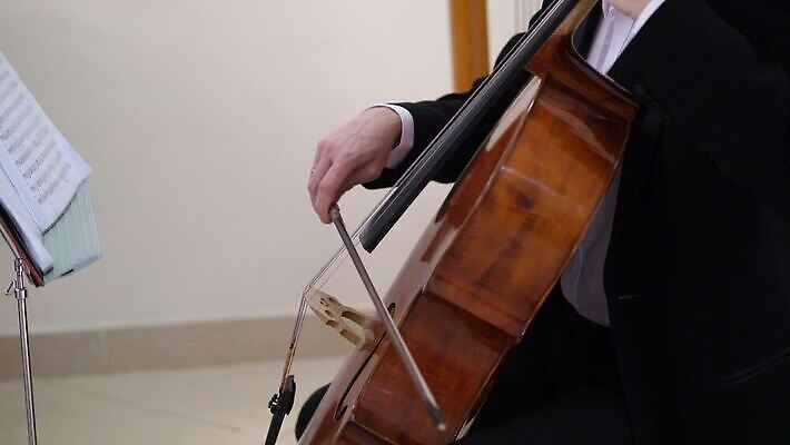 백인 드레스 여자 남자 줄 음악 놀이 사람 이벤트 성인 목재 소리 콘서트 공연 음악가 기구 잡기 괴짜 클래식 바이올린 열정 첼로 재즈 바이올리니스트 오케스트라 교향곡 뮤지컬 비올라 실행 플레이어 MOV 해외동영상 클립영상 서양인 나무 직업 옷 감정 컨셉 재료 모션 현악기 문화예술 연주자 악단 동영상 파일형식 찰현악기