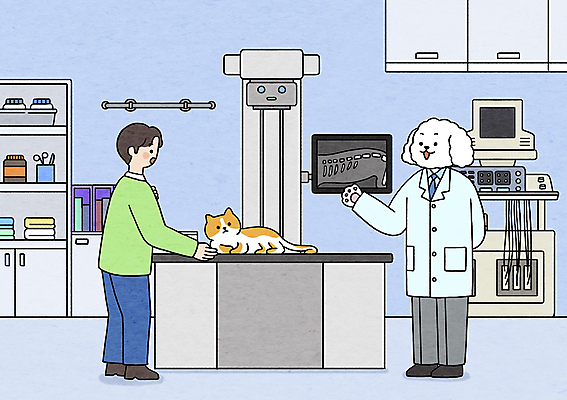 전신 PSD 남자 일러스트 의료기기 엑스레이 의인화 설명 한명 서기 성인 반려동물 모니터 촬영 고양이 진료 뒷짐 푸들 개캐릭터 보여주기 동물병원 수의사 진료대 진료실 성인남자한명만 반려묘 국내일러스트 동물 1 동물캐릭터 포유류 의학 모션 병원 사람 컴퓨터 의사 개 남자한명만 성인남자만 파일형식