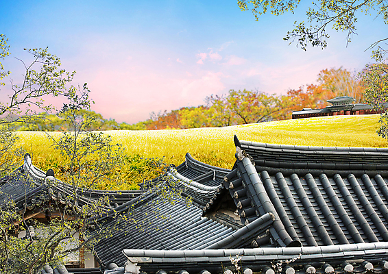 PSD 편집이미지 한국전통 하늘 한옥 사람없음 가을풍경 고요 일몰 가을 나뭇가지 갈대밭 기와지붕 이미지편집 나무 전통 계절 고건축 지붕 한국 기와 풍경 노을 파일형식 가을_계절 갈대_식물