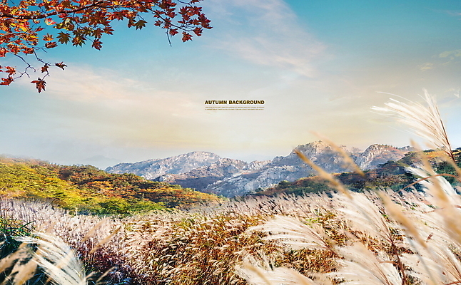 PSD 구름 편집이미지 단풍 하늘 산 갈대 사람없음 가을풍경 고요 일몰 가을 가을배경 이미지편집 자연요소 식물 계절 백그라운드 잎 풍경 노을 파일형식 가을_계절