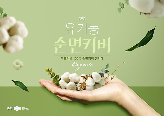 PSD 편집이미지 손 나뭇잎 들기 타이포그라피 신체부위 연두색 유기농 여성용품 목화꽃 생리대 유칼립투스 목화솜 면소재 이미지편집 식물 문자 웰빙 꽃 잎 모션 사람 초록색 솜 오브젝트 소재 파일형식