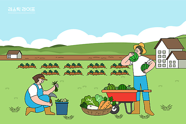 전신 여자 남자 하늘색 밭 채소 일러스트 수박 서기 들기 앉기 성인 두명 연두색 바구니 소쿠리 당근 시골 잡초 무 전원생활 외발수레 호미 성인만 국내일러스트 AI파일 식물 농업 과일 모션 뿌리채소 사람 생활 초록색 파란색 수레 농기구 파일형식 벡터